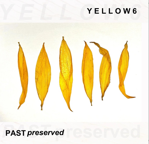 Past Preserved/Yellow Vinyl
