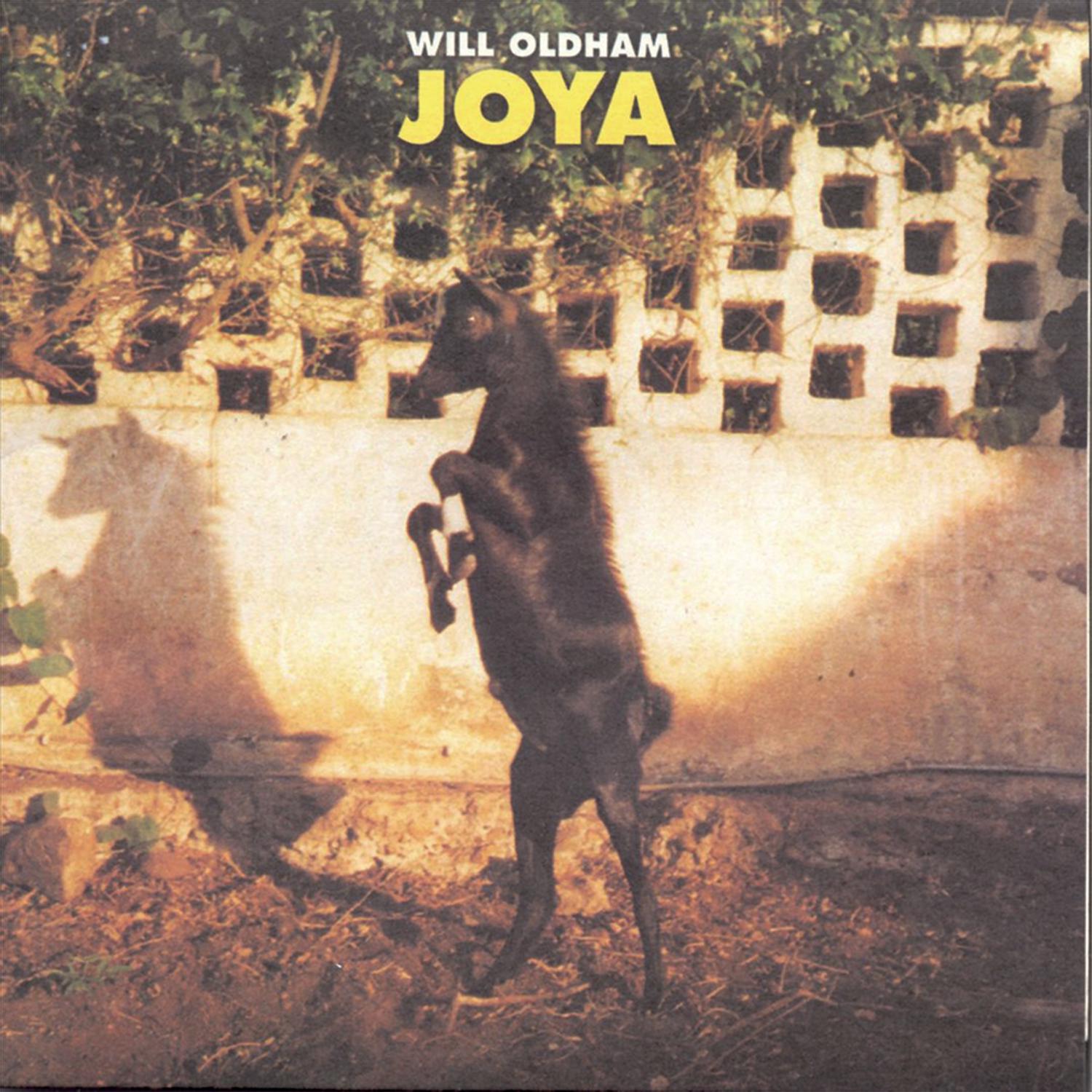 Joya