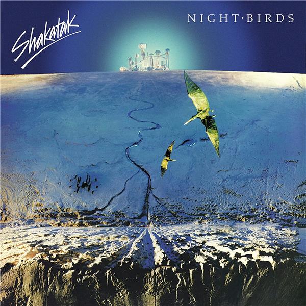 NIGHT BIRDS/VINYLE COULEUR OR 180GR