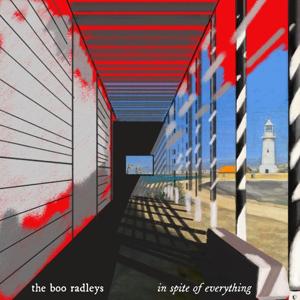 In Spite Of Everytyhing - Vinyle