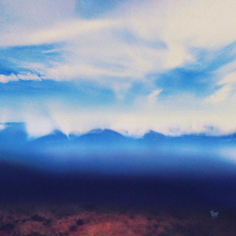 LIVING MOUNTAIN/VINYLE COULEUR