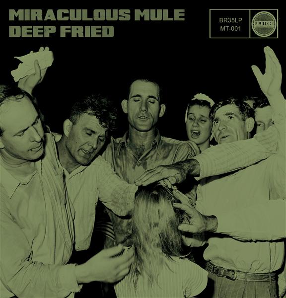 Miraculous mule