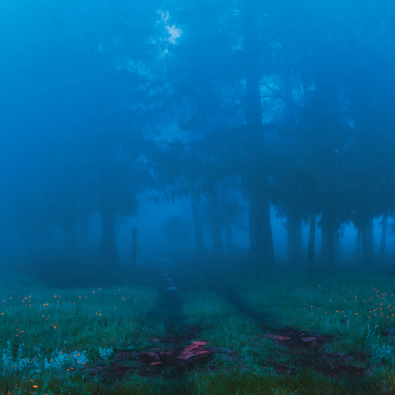COMMUNE -HQ-