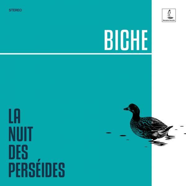 La nuit des perséides