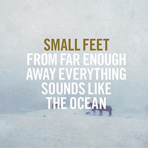 From Far Enough Away Everything Sounds Like the Ocean