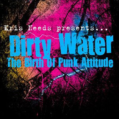 THE BIRTH OF PUNK ATTITUDE