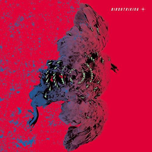 Birdstriking (180gr -Clear vinyl - Face D dessin