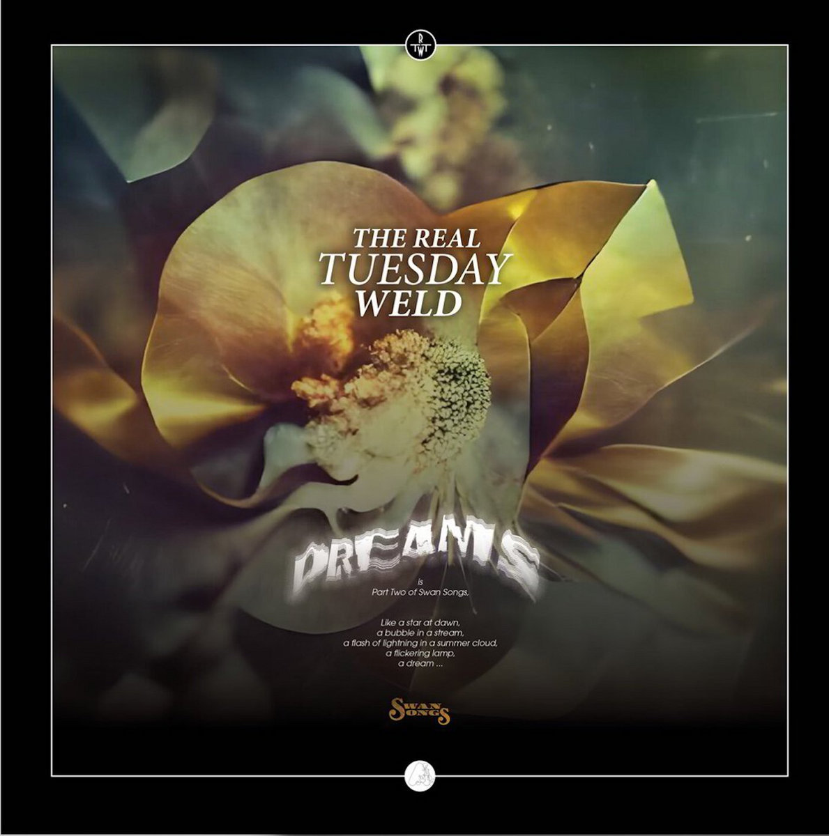 Dreams/Limited Translucent Gold LP