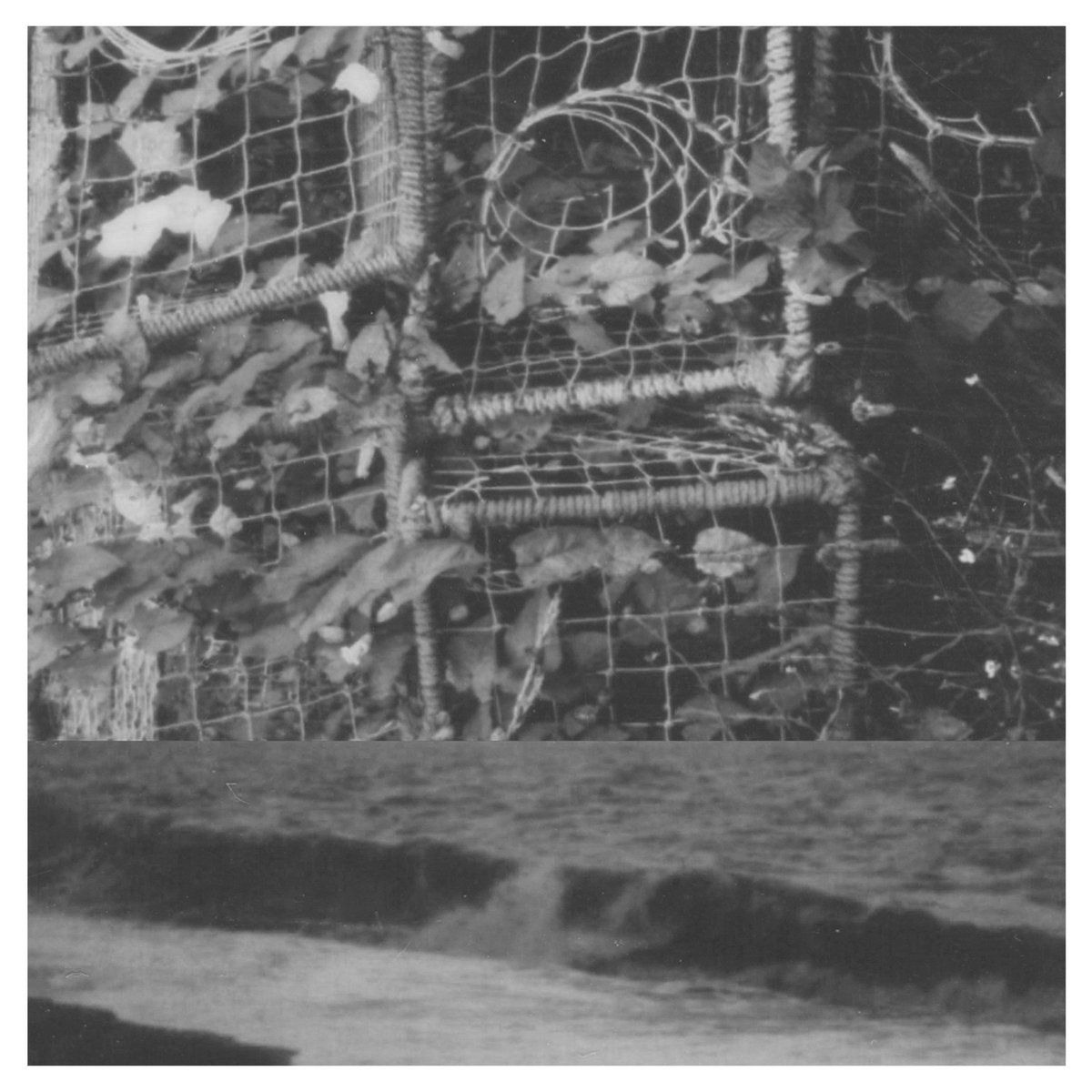 The Processes And Instruments Of Normal People/Clear Vinyl