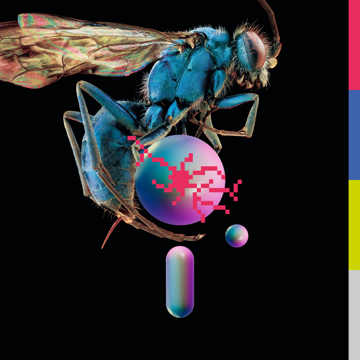 Hive/Blue Vinyl