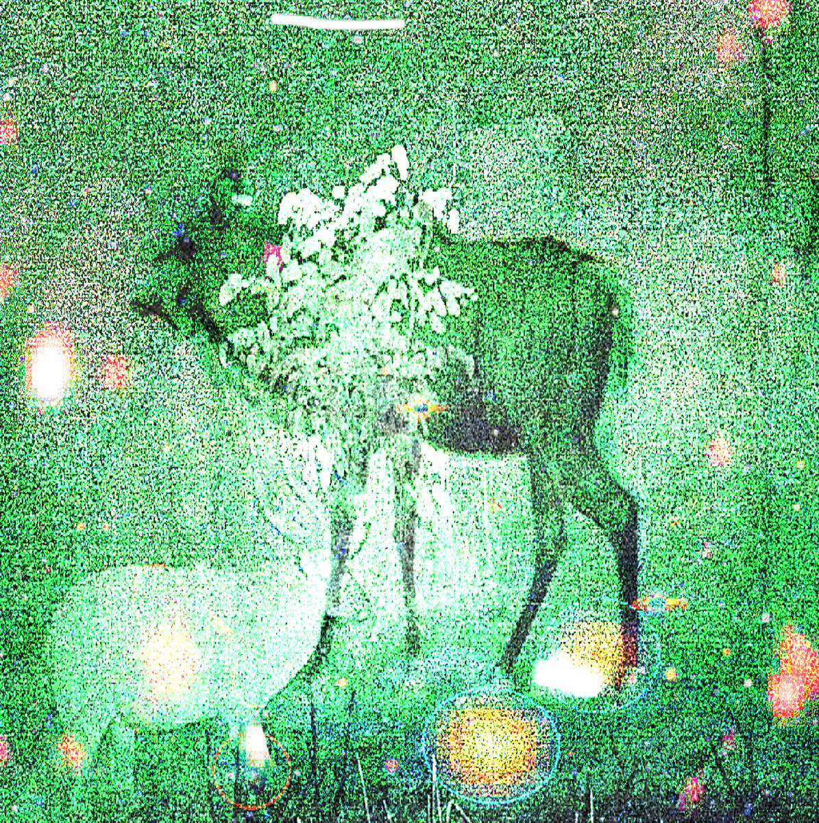 Wombs And Alien Spirits
