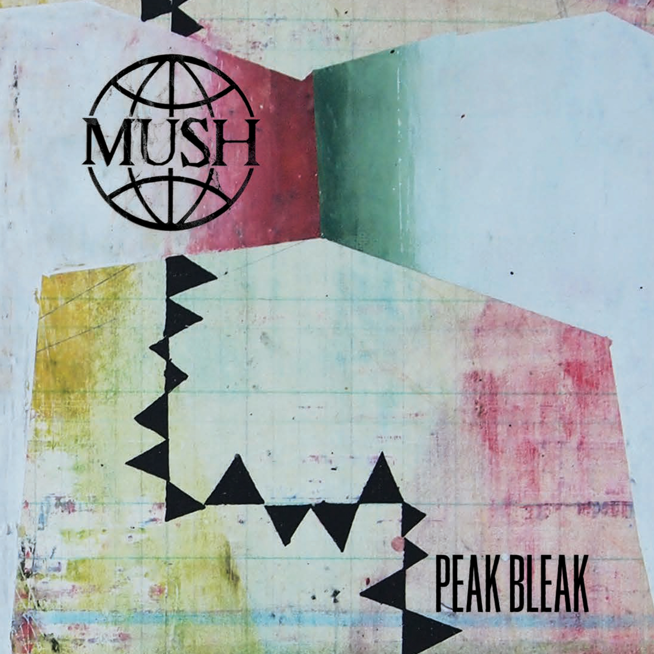 PEAK BLEAK/VINYLE VERT