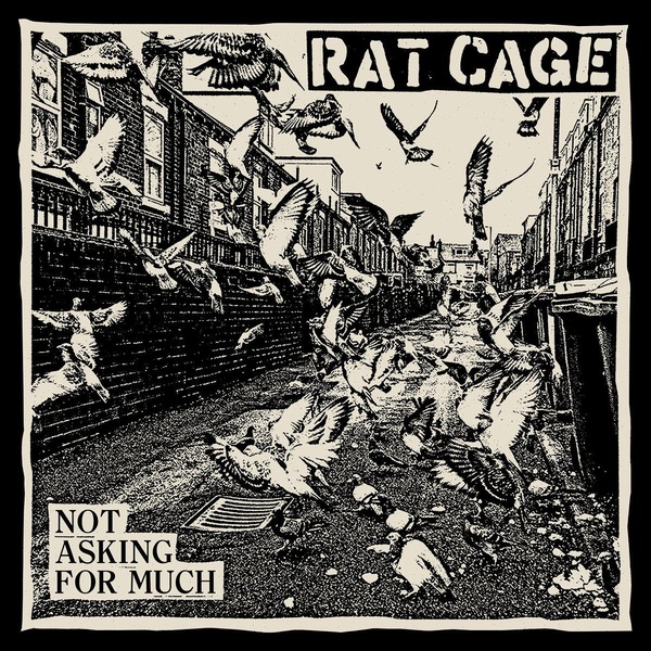 Not Asking for Much - Vinyle