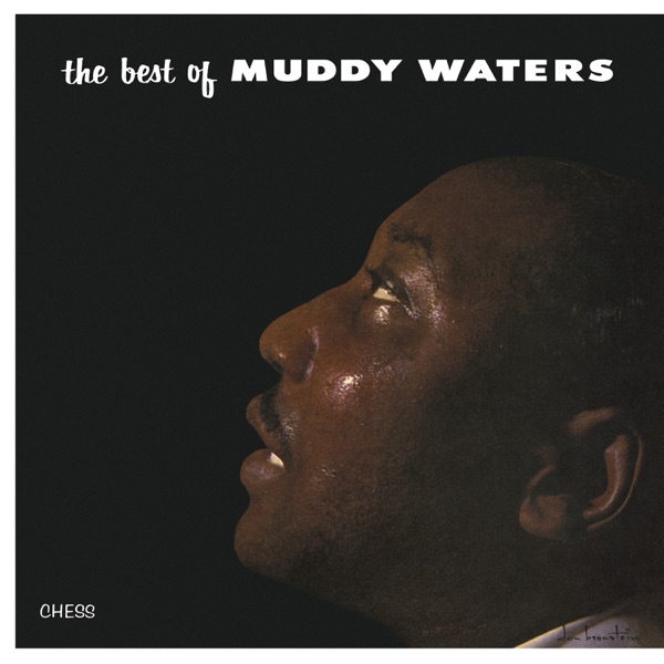 Best Of Muddy Waters