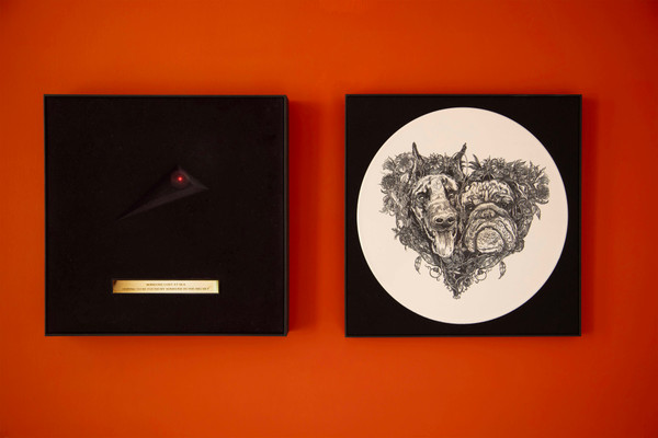 Hounds Of Love / Lost At Sea Box A And B