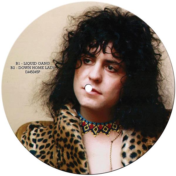 The Groover/Picture Disc