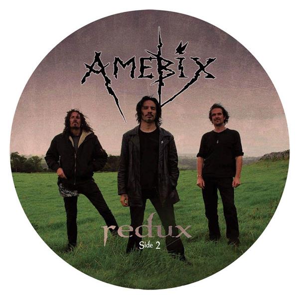 Redux (Edt Ltd Picture Disc)