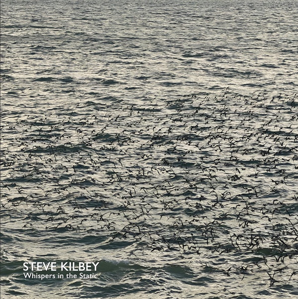 Whispers In The Static/Grey Vinyl/CD inclus