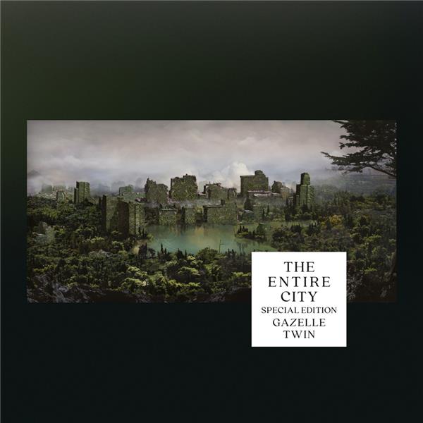 The Entire City/Special Edition Silver Grey Vinyl