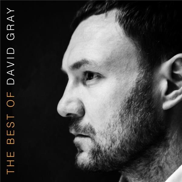 The Best Of David Gray