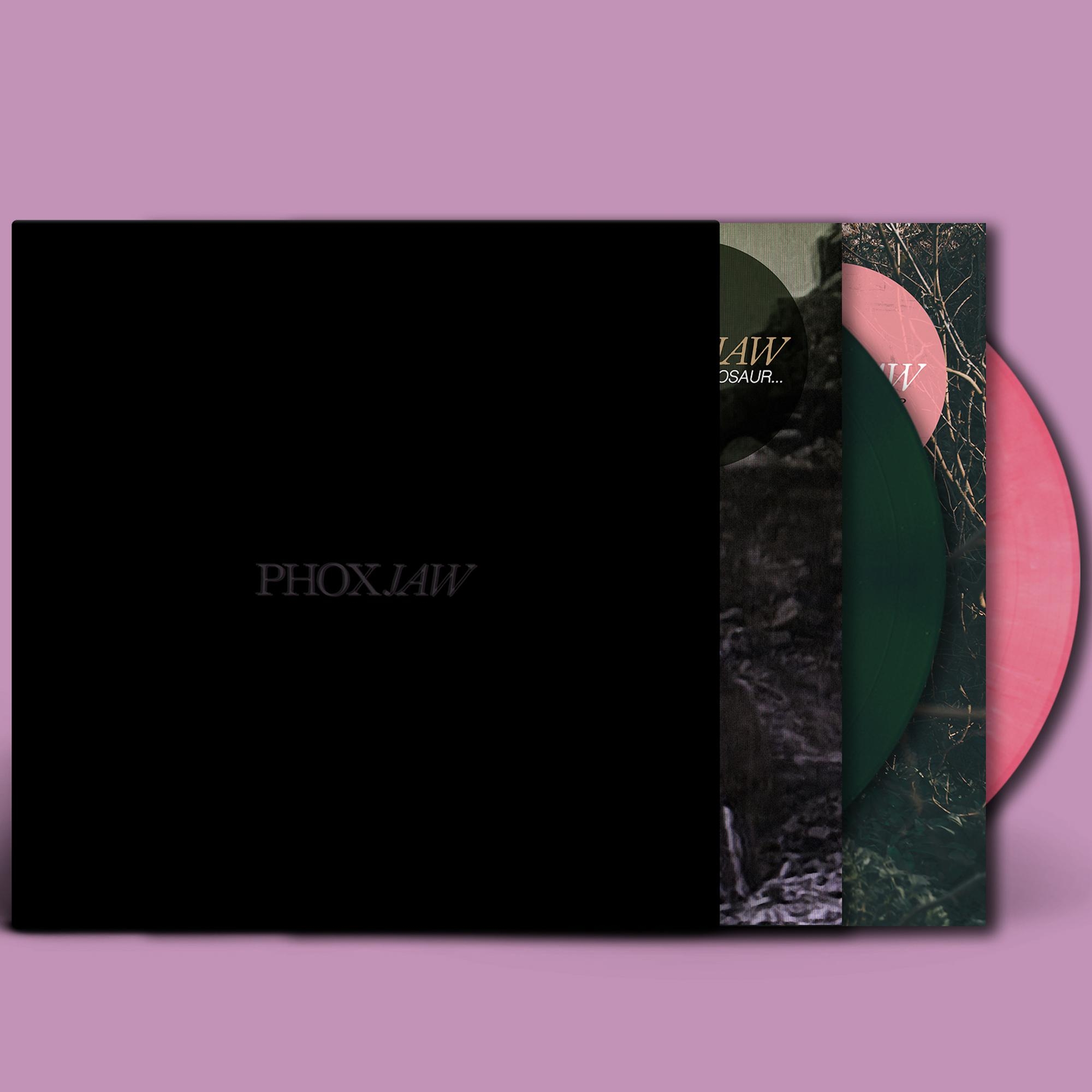 Goodbye Dinosaur//A Playground…/Colored Vinyl