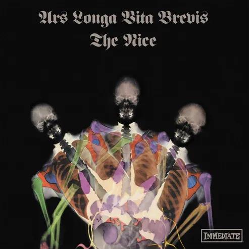 Ars Longa Vita Brevis - édition limitée colorée