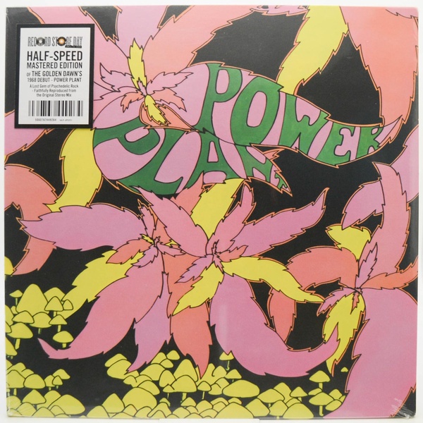 Power Plant