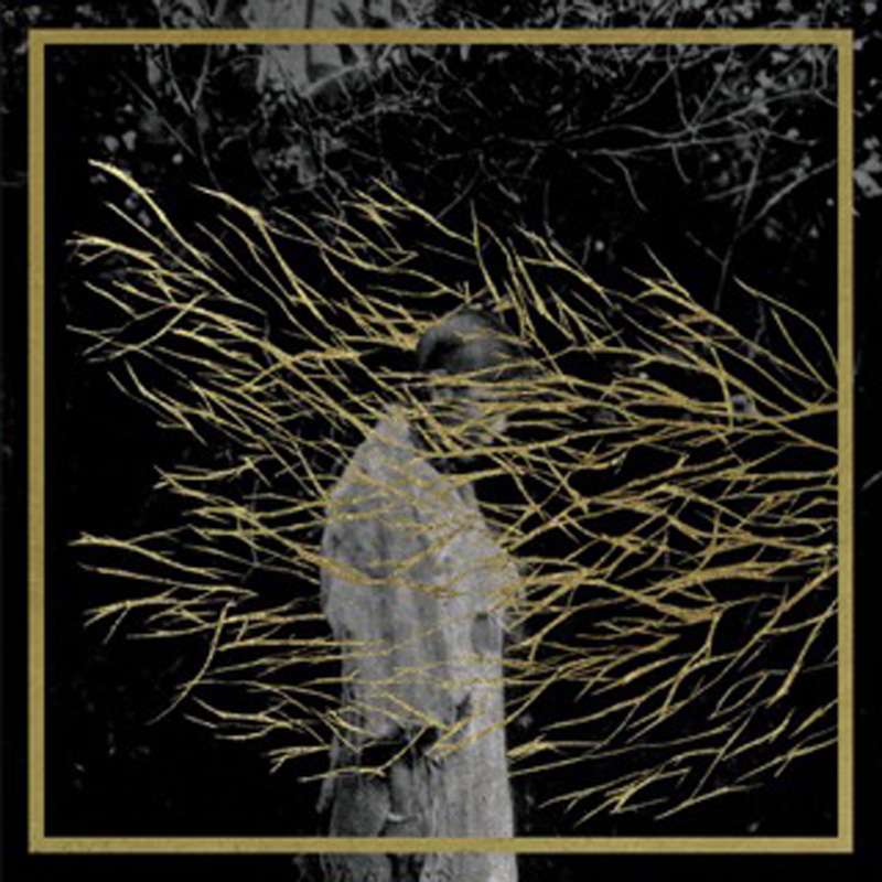 ENGRAVINGS 2025 EDITION/LIMITED
