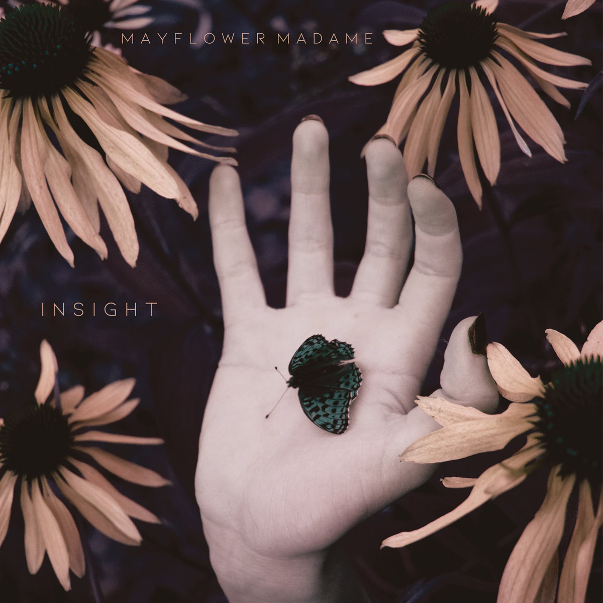 Insight/Limited White vinyl