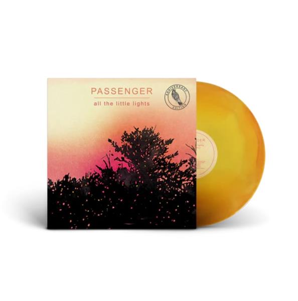 ALL THE LITTLE LIGHTS/VINYLE COULEUR