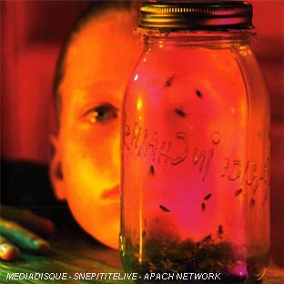 Jar Of Flies