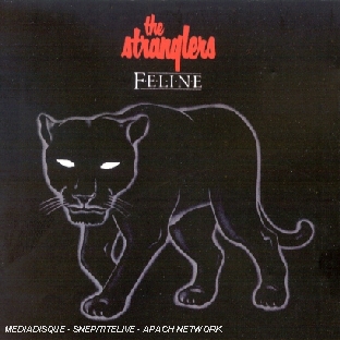 Feline