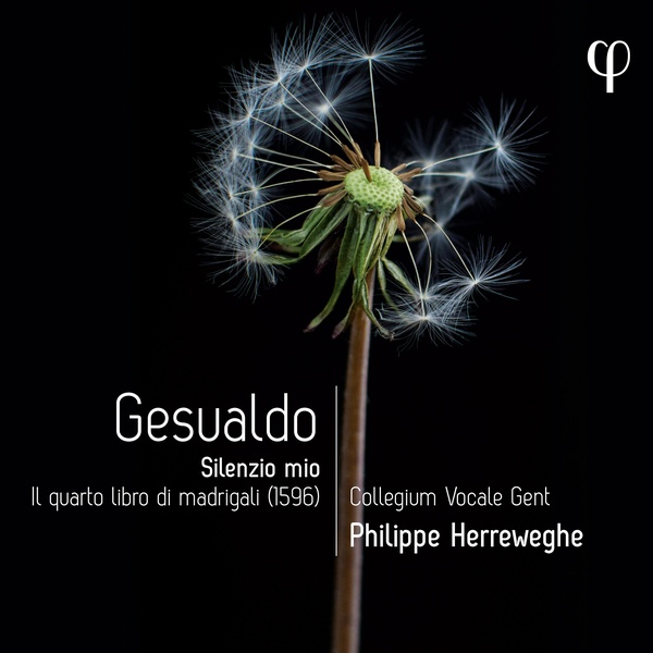 Silenzio Moi / Il Quarto Libro Di Madrigali