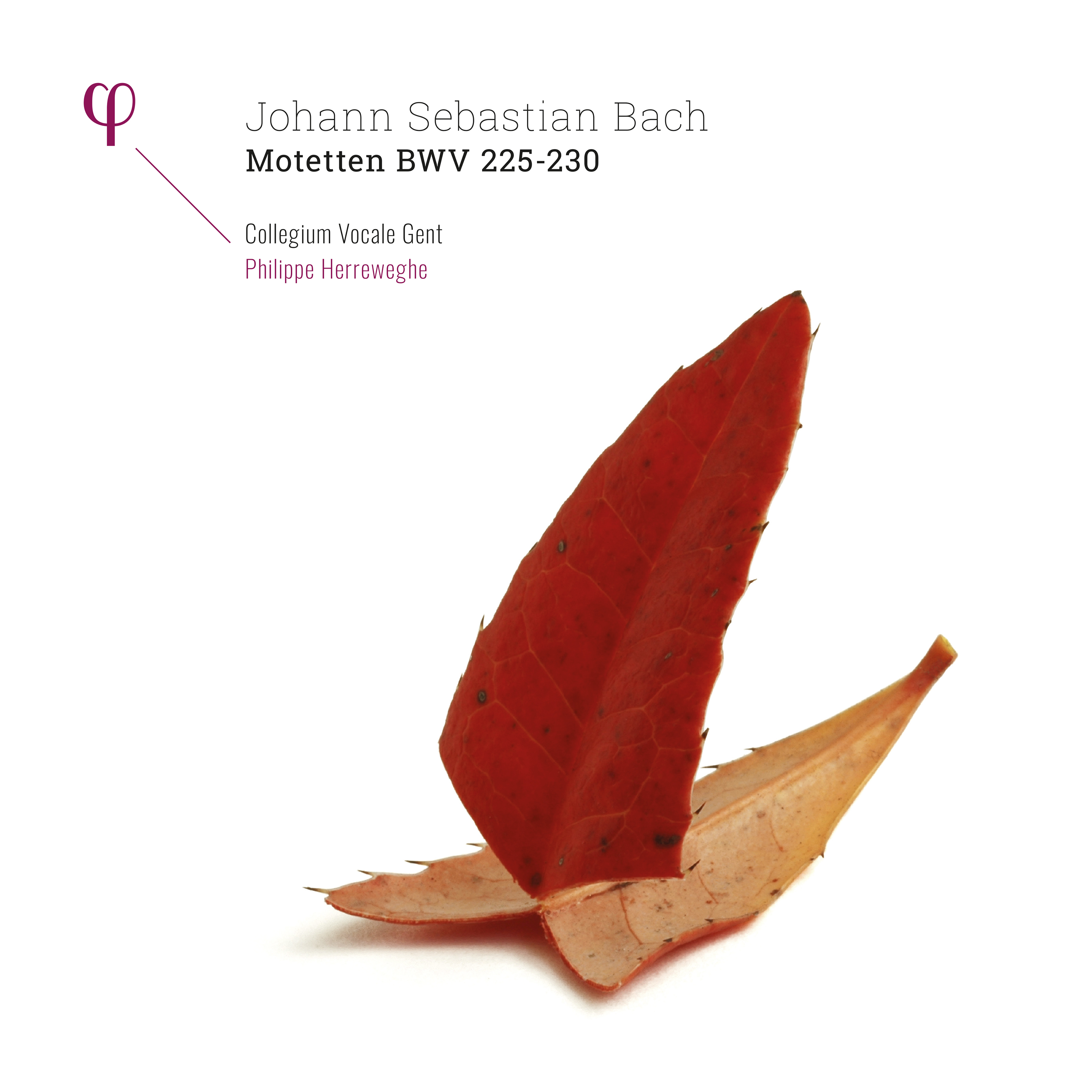 Motets BWV 225 a 230