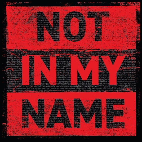 Not In My Name - Vinyle