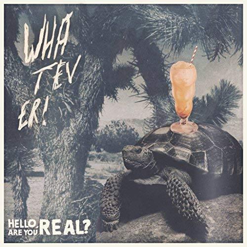 Hello, Are You Real ? / Aron D'Alesio