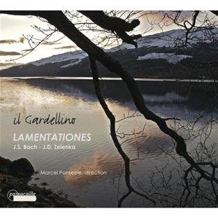 Lamentationes cantates