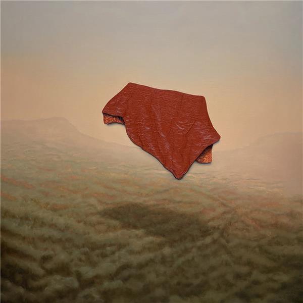 COME WITH ME AND HIDE/VINYLE ROUGE