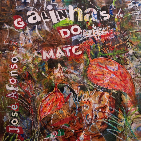 GALINHAS DO MATO