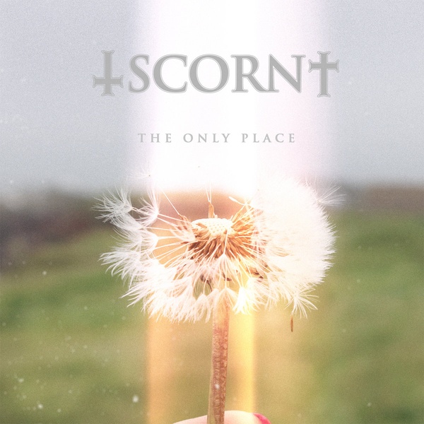 The Only Place/Orange Vinyl