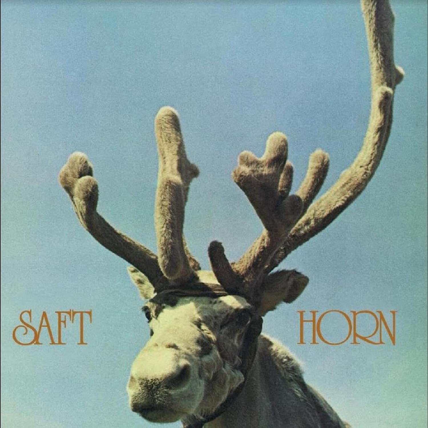 HORN