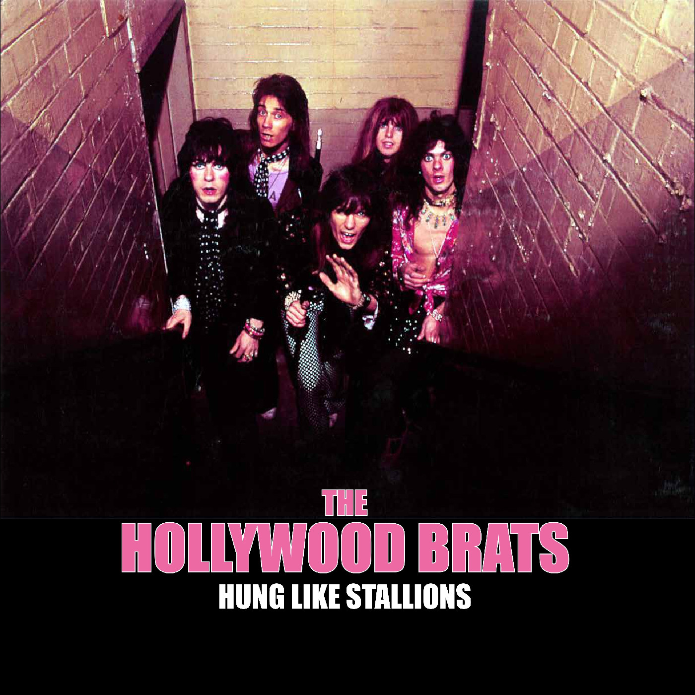 HUNG LIKE STALLIONS