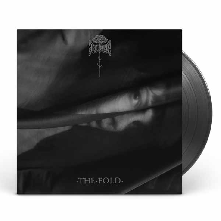 The Fold