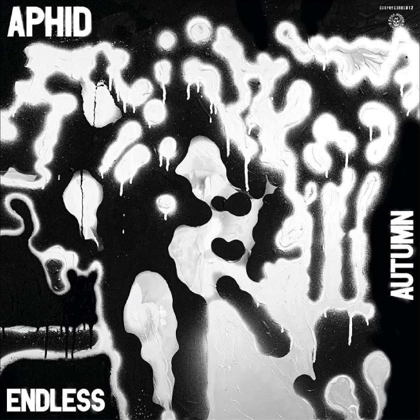 ENDLESS AUTUMN/VINYLE GRIS ARGENT