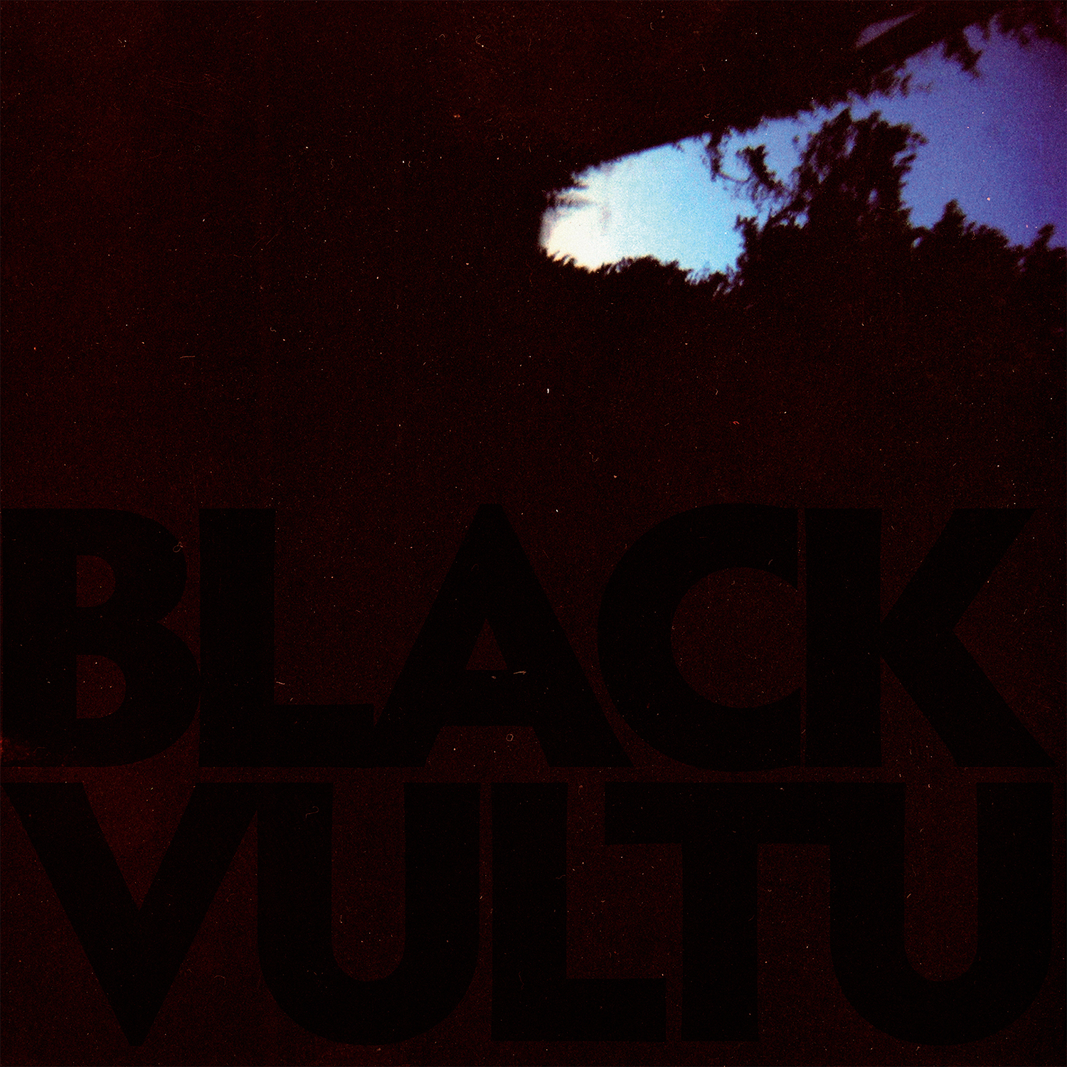 BLACK VULTURES