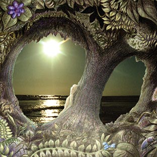 In Harmony