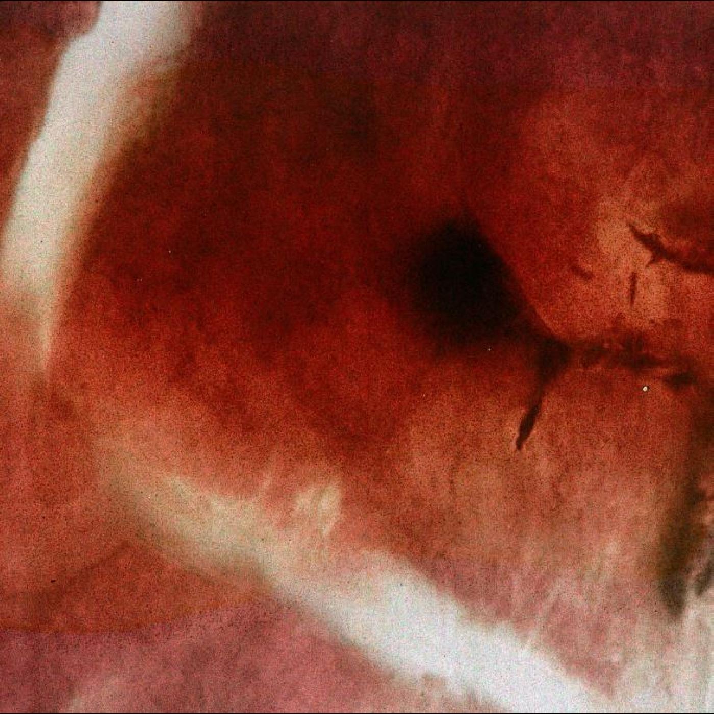 DEATH OF KALYPSO/VINYLE NOIR