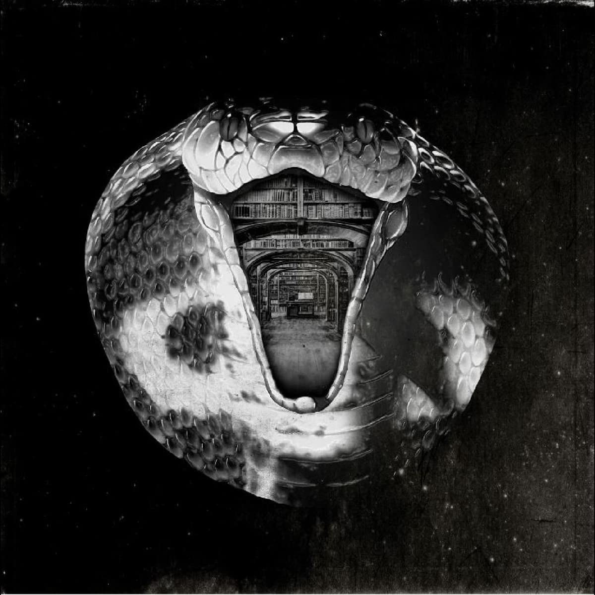 GENIUS KILLER/VINYLE BLANC