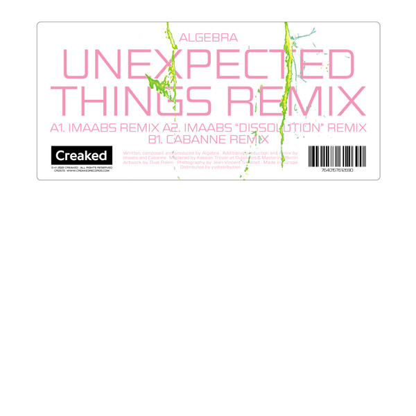Unexpected Things/Remixes - Vinyle