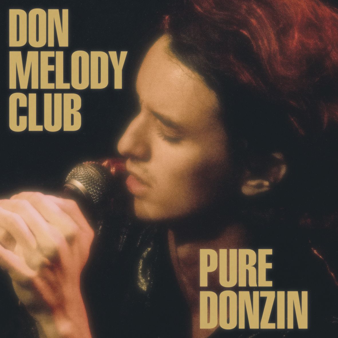 PURE DONZIN (vinyl)